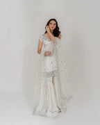 Woman wearing a white saree with silver embroidery on a plain background