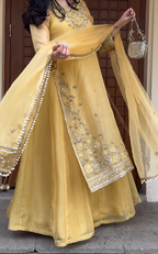 Amber Shehzadi